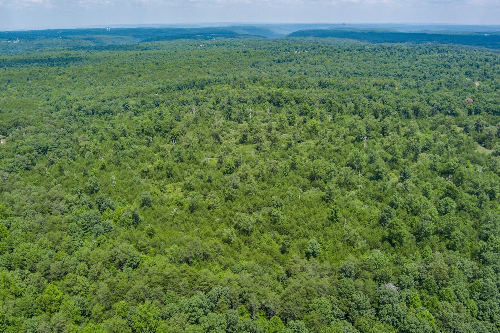 37.59-ac Golden Pointe Road Spencer, TN 38585 - Photo 13 of 18 13_MAX_0255_HDR_mls