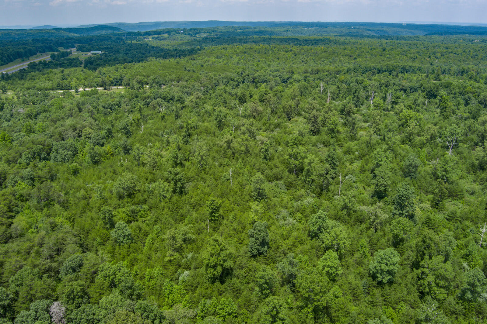 37.59-ac Golden Pointe Road Spencer, TN 38585 - Photo 14 of 18 14_MAX_0260_HDR_mls
