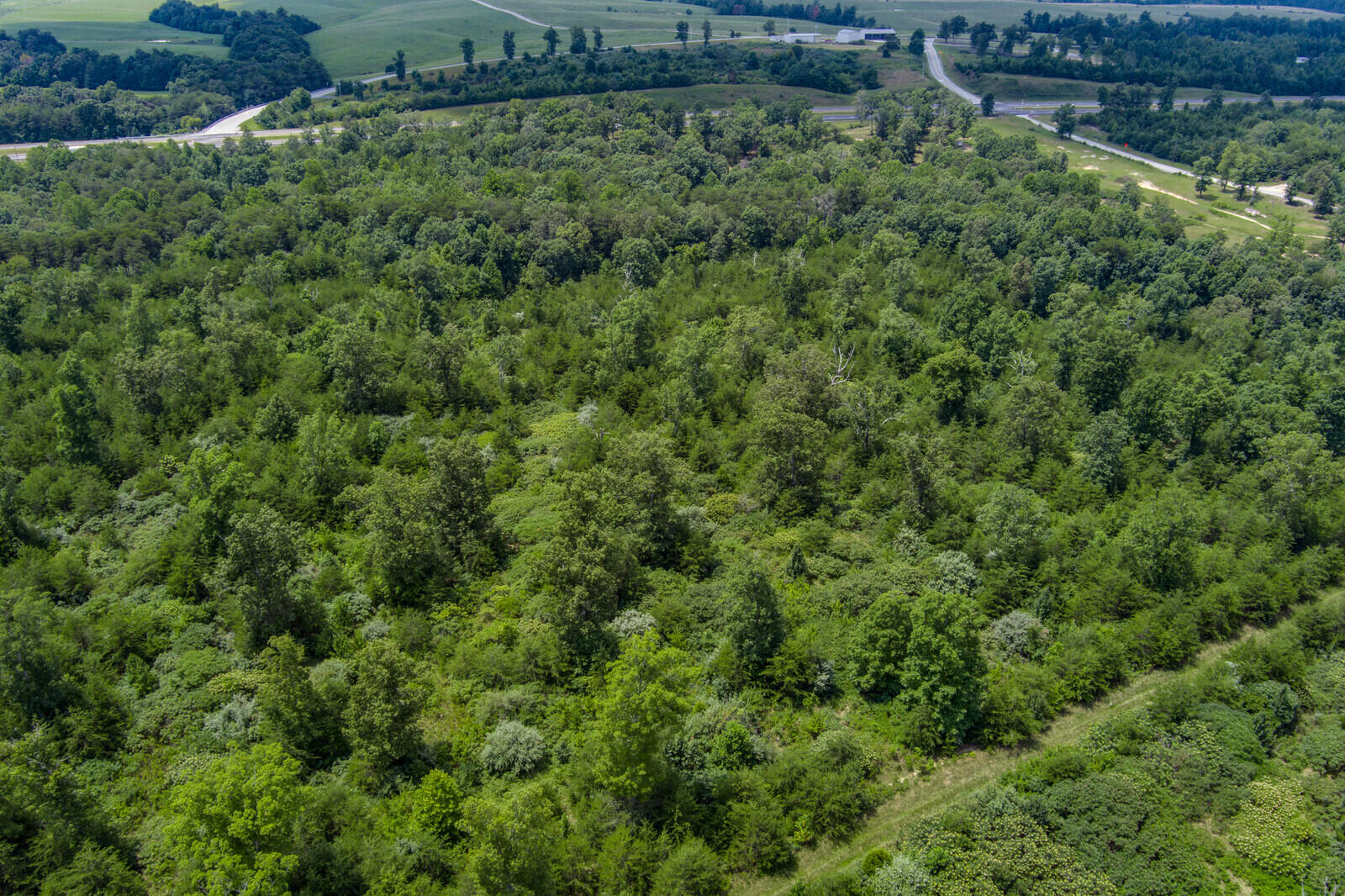 37.59-ac Golden Pointe Road Spencer, TN 38585 - Photo 15 of 18 15_MAX_0265_HDR_mls