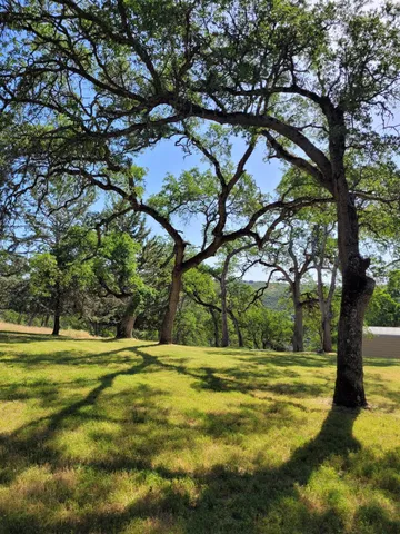 a view of yard with green space