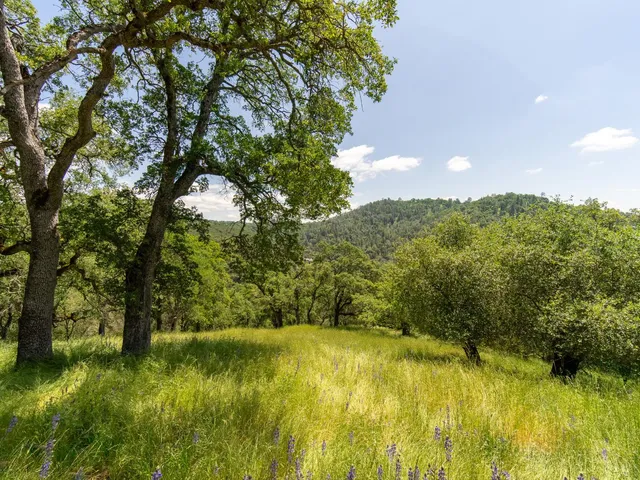 $639,000 | 5961 Windy Ridge Road, Shingle Springs, CA 95682