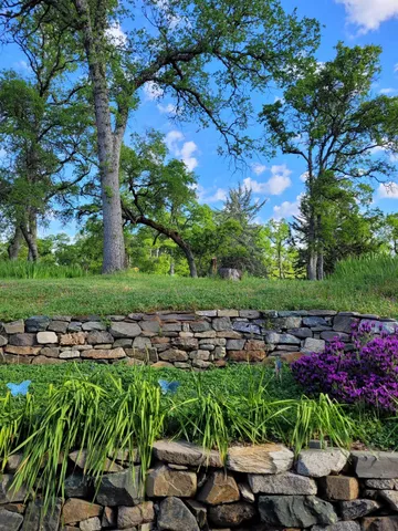 a view of a street with lots of trees and flowers