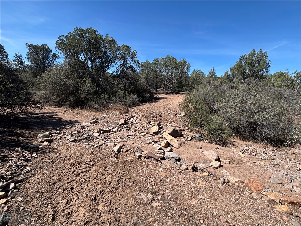 352-38-012 352-38-012 Badger Ridge Road Kingman, AZ 86401 - Photo 17 of 31