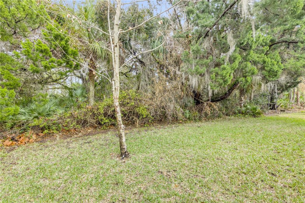 353 Admiralty Court Edgewater, FL 32141 - Photo 42 of 56 a fire hydrant in the middle of a field