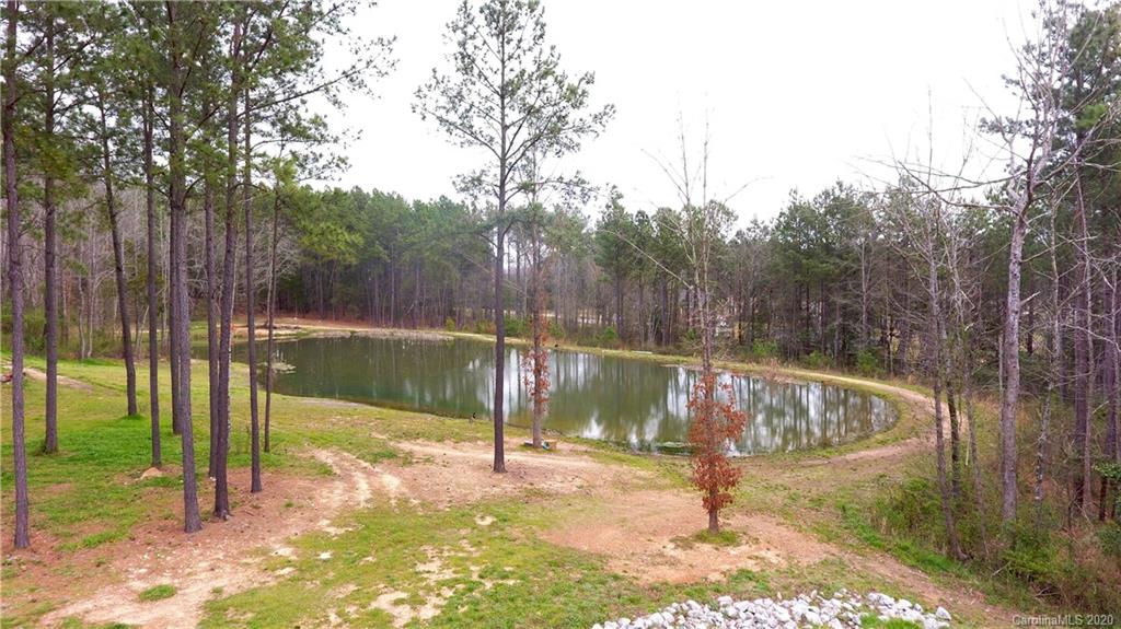 1495 Cameron Road Polkton, NC 28135 - Photo 4 of 46