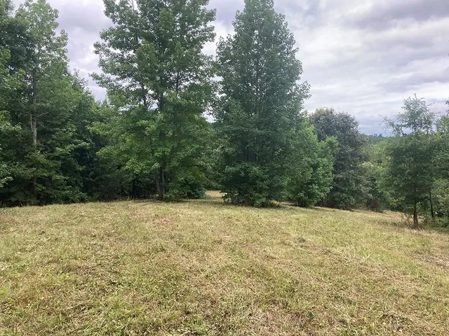 a big yard with lots of green space and deers