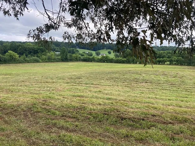 a view of a garden with a building in the background