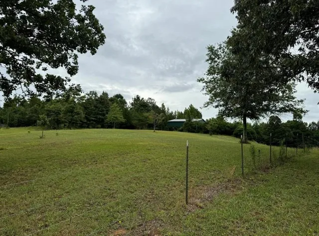 a backyard of a house with lots of green space