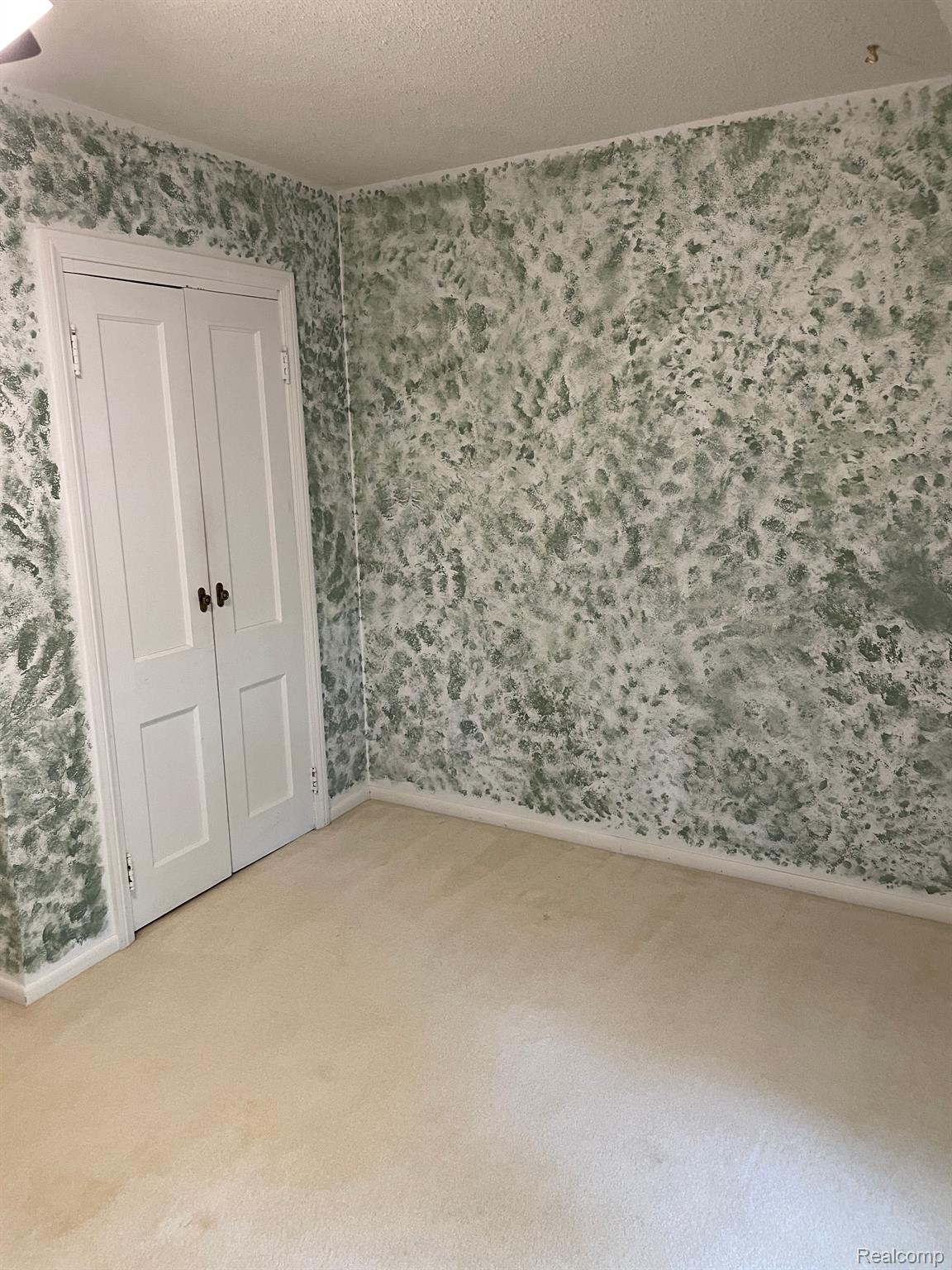 8158 Dryden Road Almont, MI 48003 - Photo 28 of 62 Big closet