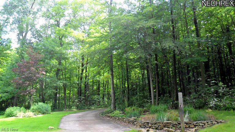 12446 Woodin Road Chardon, OH 44024 - Photo 18 of 19 Large 12 foot wide winding concrete driveway,
