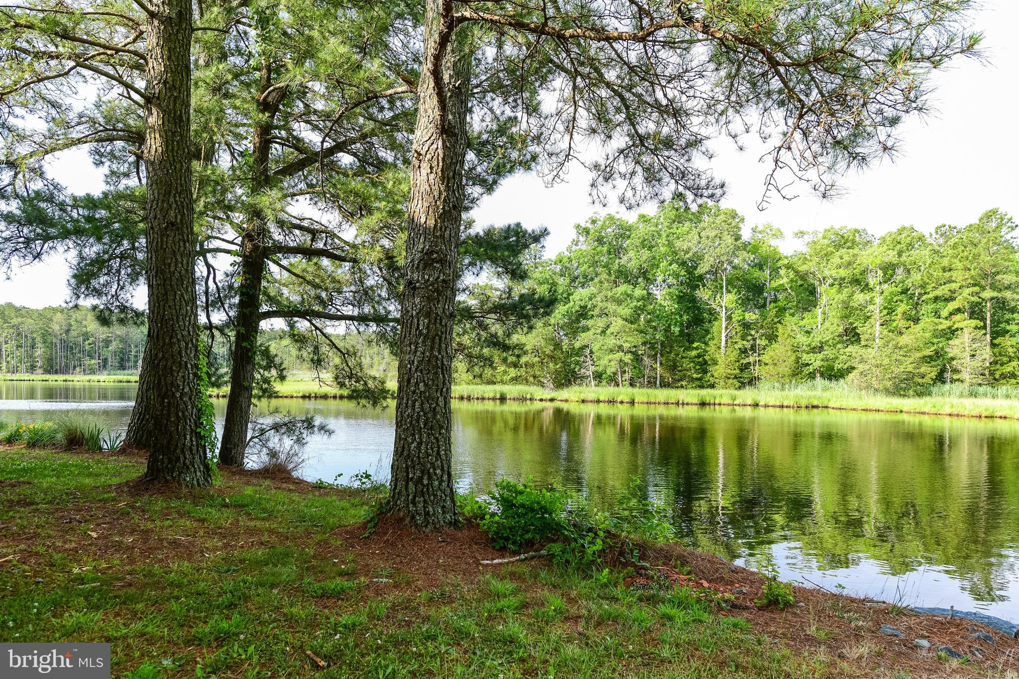 9502 Croppers Island Road Newark, MD 21841 - Photo 18 of 46 OPEN WATER VIEW: PORTER CREEK