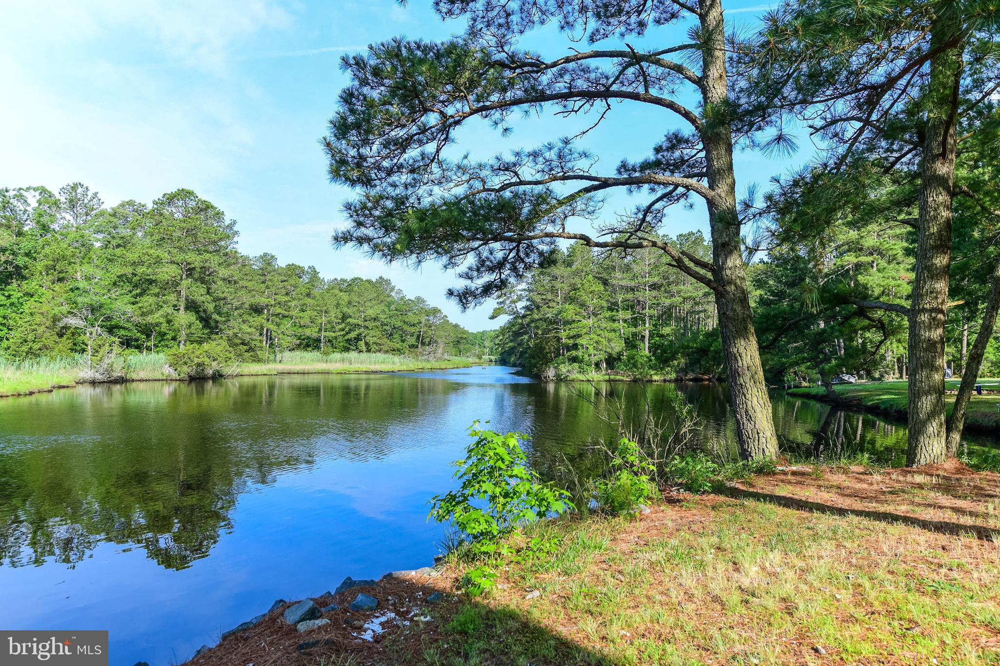 9502 Croppers Island Road Newark, MD 21841 - Photo 20 of 46 OPEN WATER VIEW: PORTER CREEK