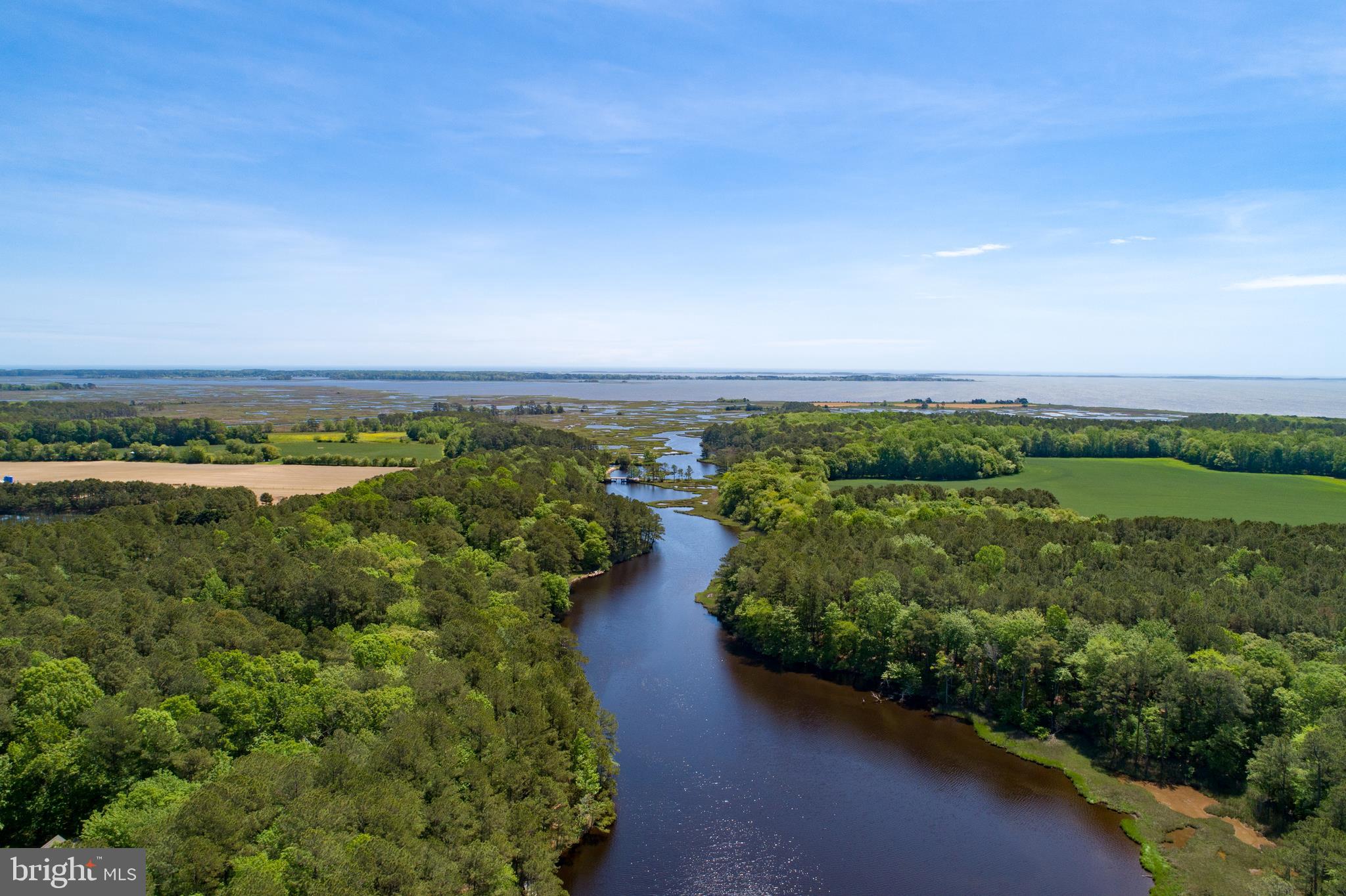 9502 Croppers Island Road Newark, MD 21841 - Photo 4 of 46 PORTER CREEK to NEWPORT BAY