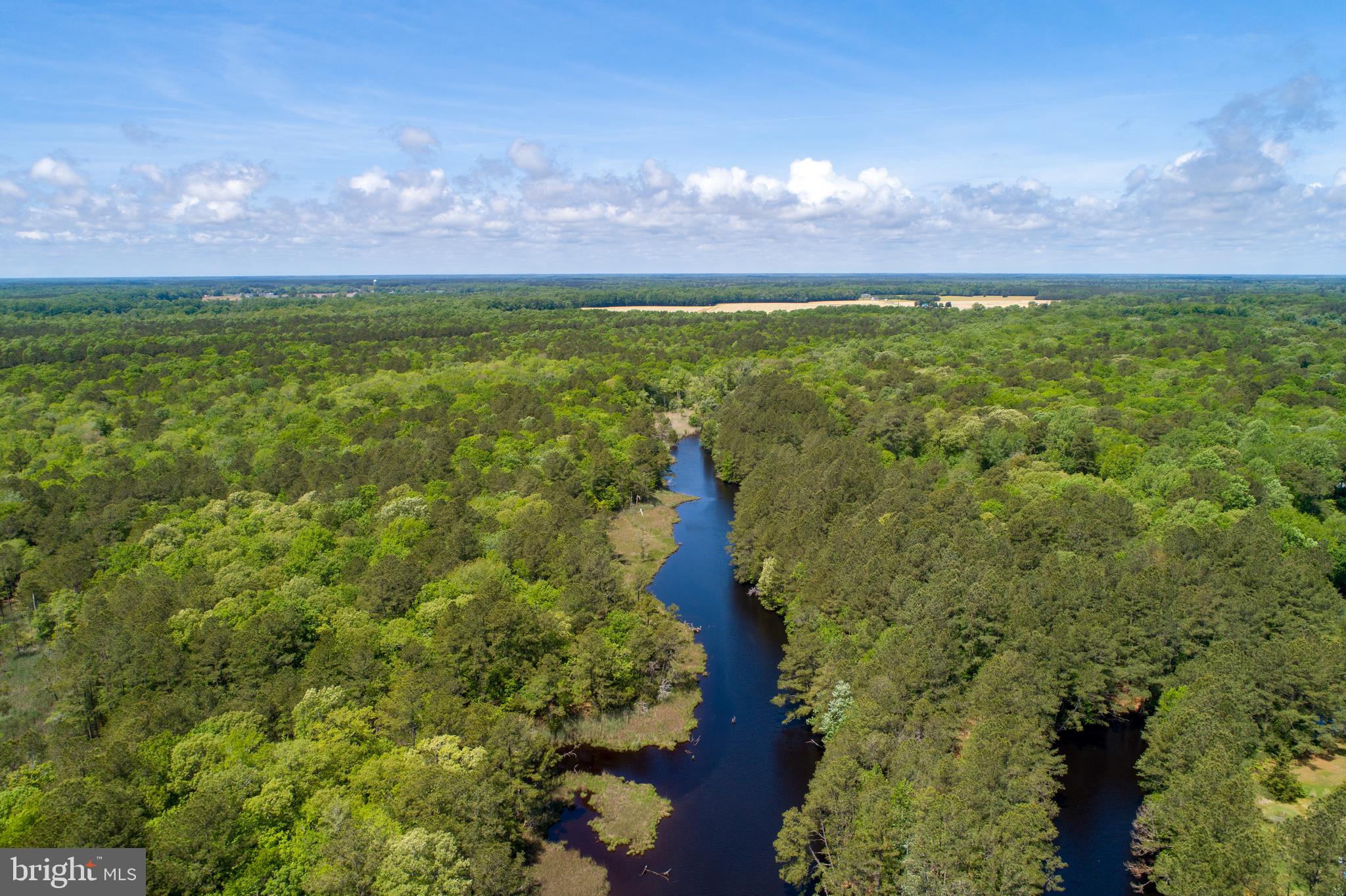 9502 Croppers Island Road Newark, MD 21841 - Photo 6 of 46 PORTER CREEK to NEWPORT BAY