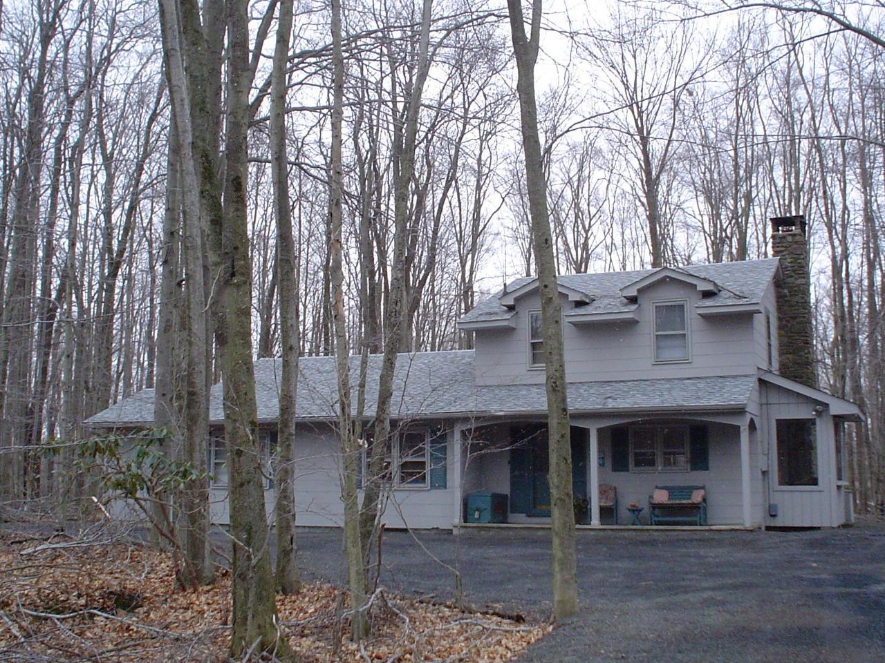 Main View