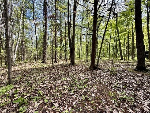 3870 North M 30 Road Gladwin, MI 48624 - Photo 59 of 60