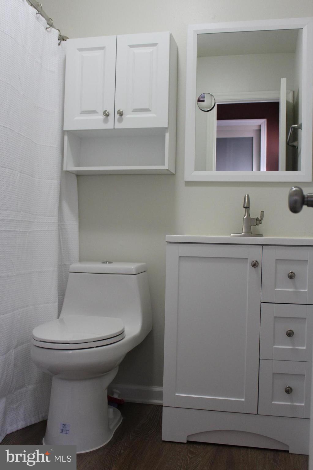 7210 Racepoint Way Alexandria, VA 22315 - Photo 12 of 23 Bath (Master)