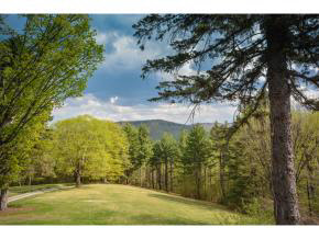 153 Lorchs Hill Road Wardsboro, VT 05355 - Photo 21 of 36 Gallery Image 21