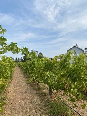 $1,748,000 | 17266 Hillside Drive, Lodi, CA 95240