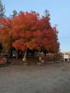 $1,748,000 | 17266 Hillside Drive, Lodi, CA 95240