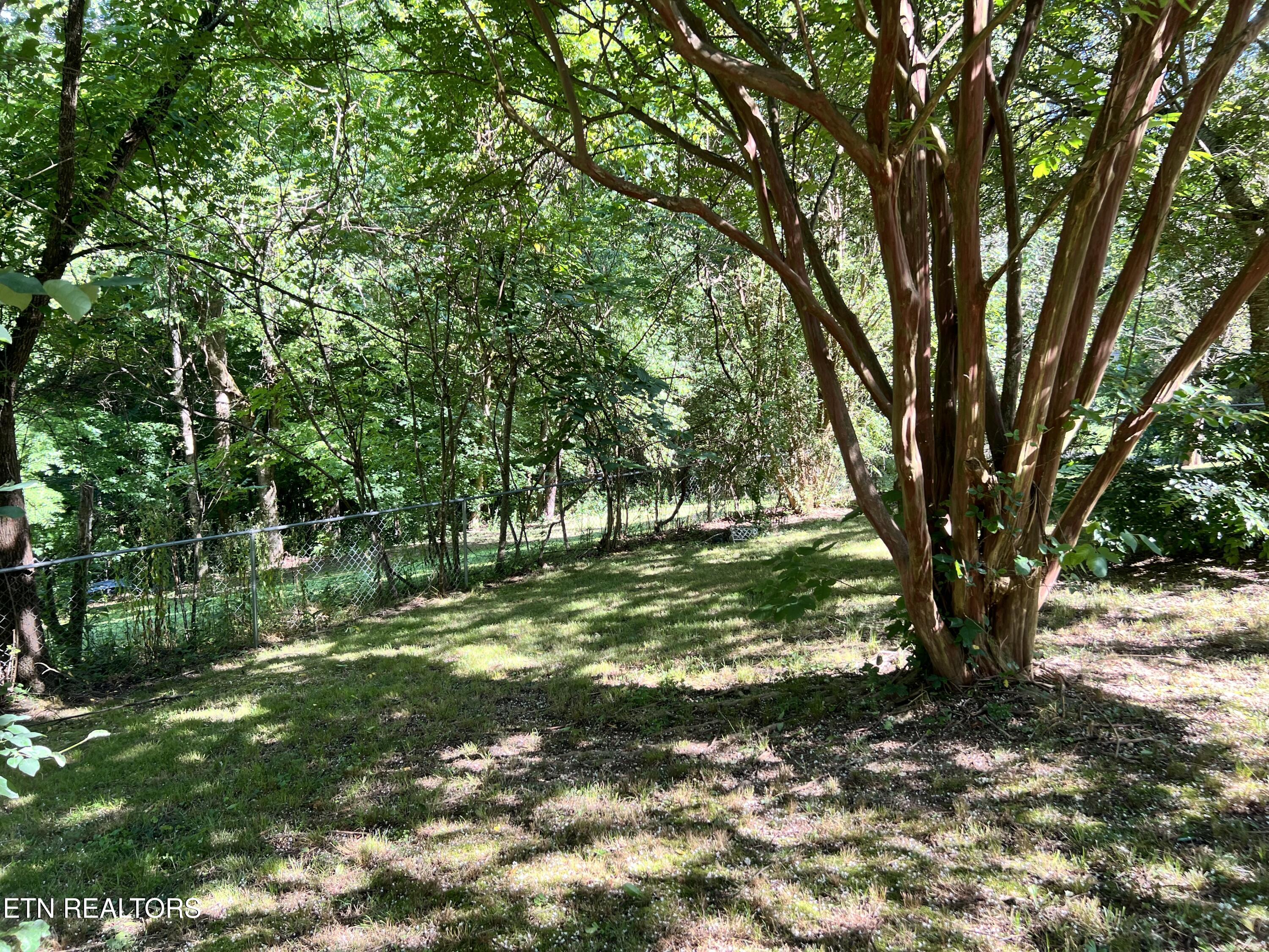 1455 Davis Chapel Road La Follette, TN 37766 - Photo 6 of 28 IMG_1927