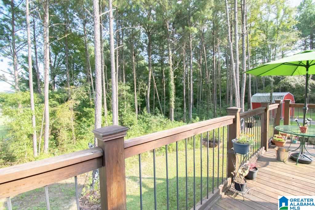 321 Deaver Walker Road Trafford, AL 35172 - Photo 3 of 29