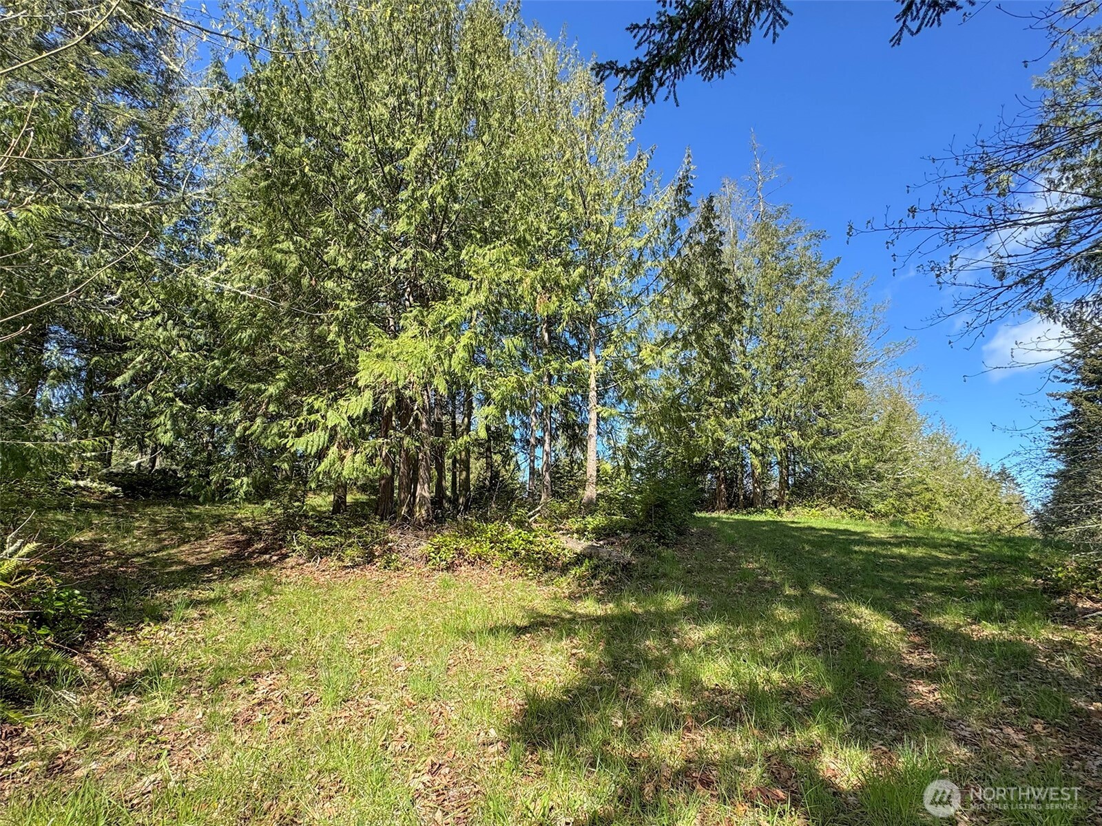 9999 Elk Pass Road Sequim, WA 98382 - Photo 14 of 40