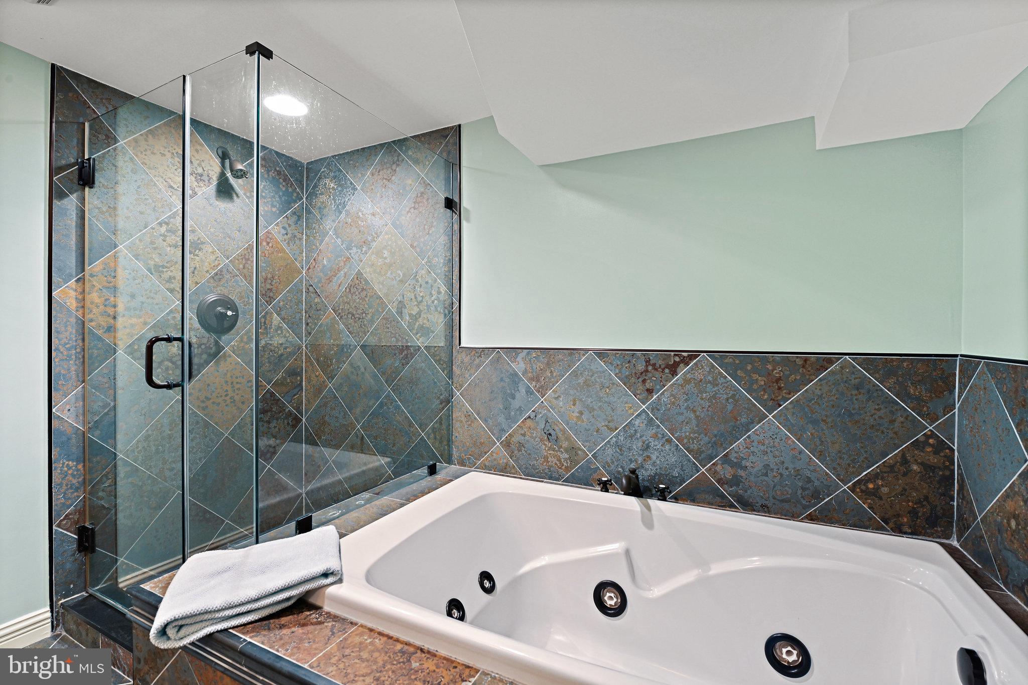 1451 Pathfinder Lane McLean, VA 22101 - Photo 39 of 59