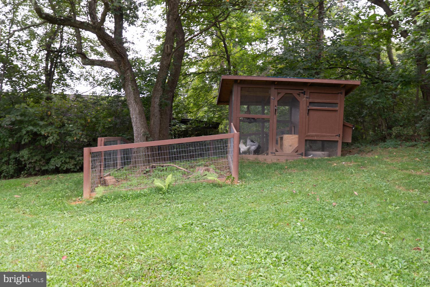 568 Apple Pie Ridge Road Winchester, VA 22603 - Photo 43 of 48 Chicken Coop Conveys