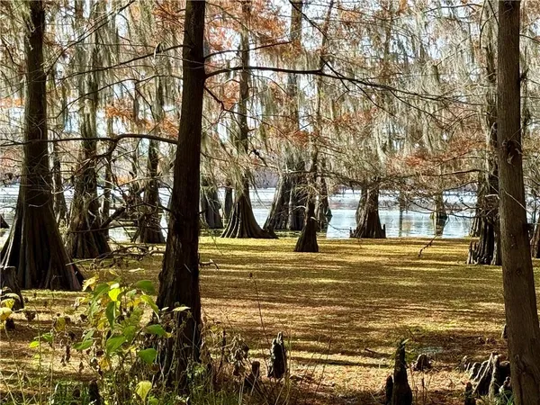 $60,000 | 0 Hardwater Lake Road, Pollock, LA 71467