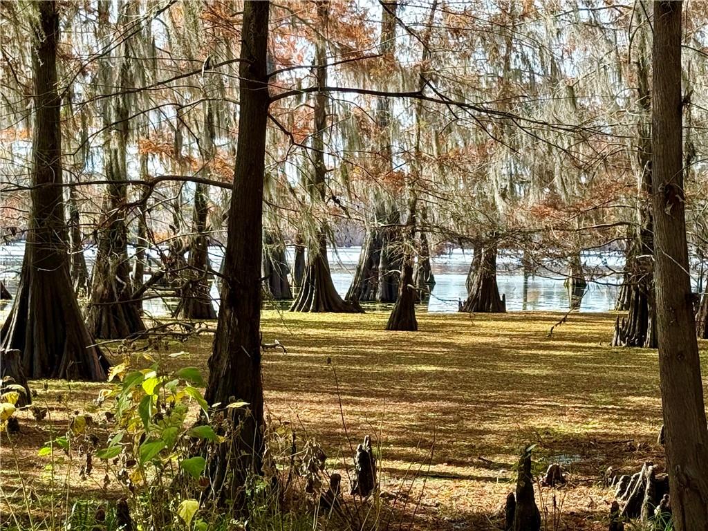 0 Hardwater Lake Road Pollock, LA 71467 - Photo 1 of 22