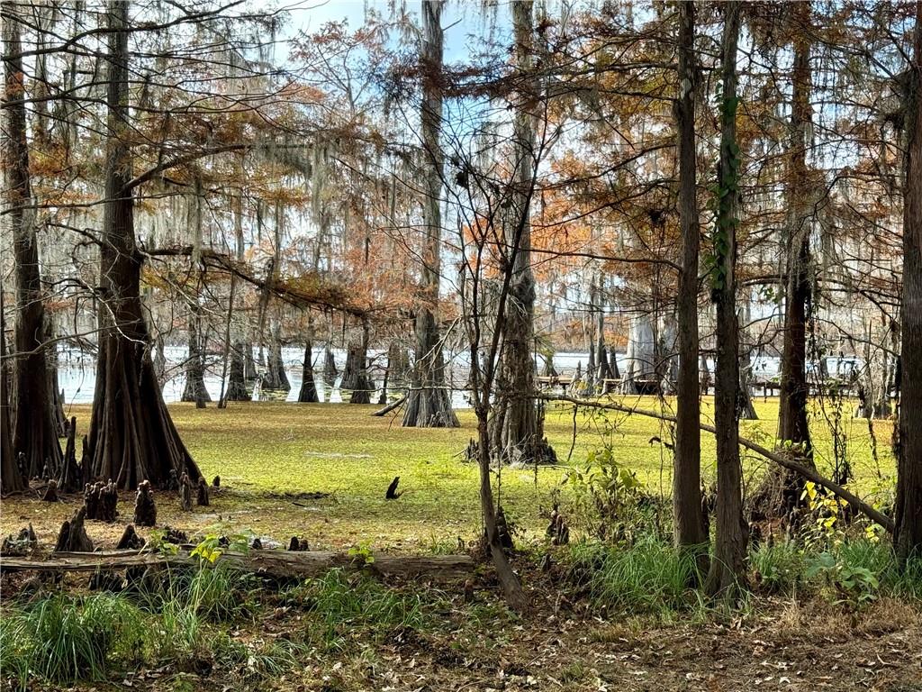 0 Hardwater Lake Road Pollock, LA 71467 - Photo 11 of 22