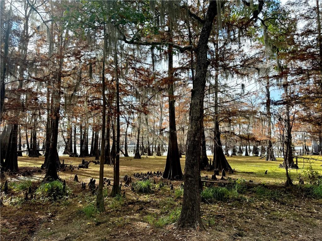 0 Hardwater Lake Road Pollock, LA 71467 - Photo 12 of 22
