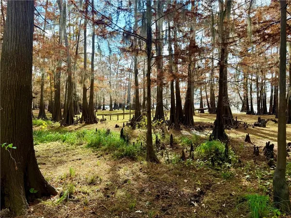 $60,000 | 0 Hardwater Lake Road, Pollock, LA 71467