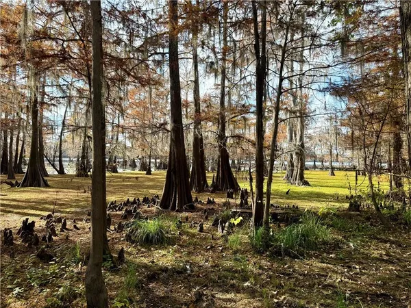 $60,000 | 0 Hardwater Lake Road, Pollock, LA 71467