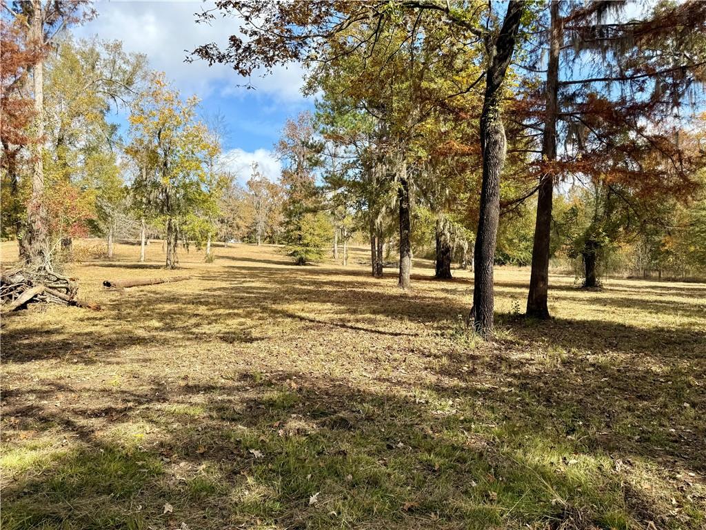 0 Hardwater Lake Road Pollock, LA 71467 - Photo 16 of 22