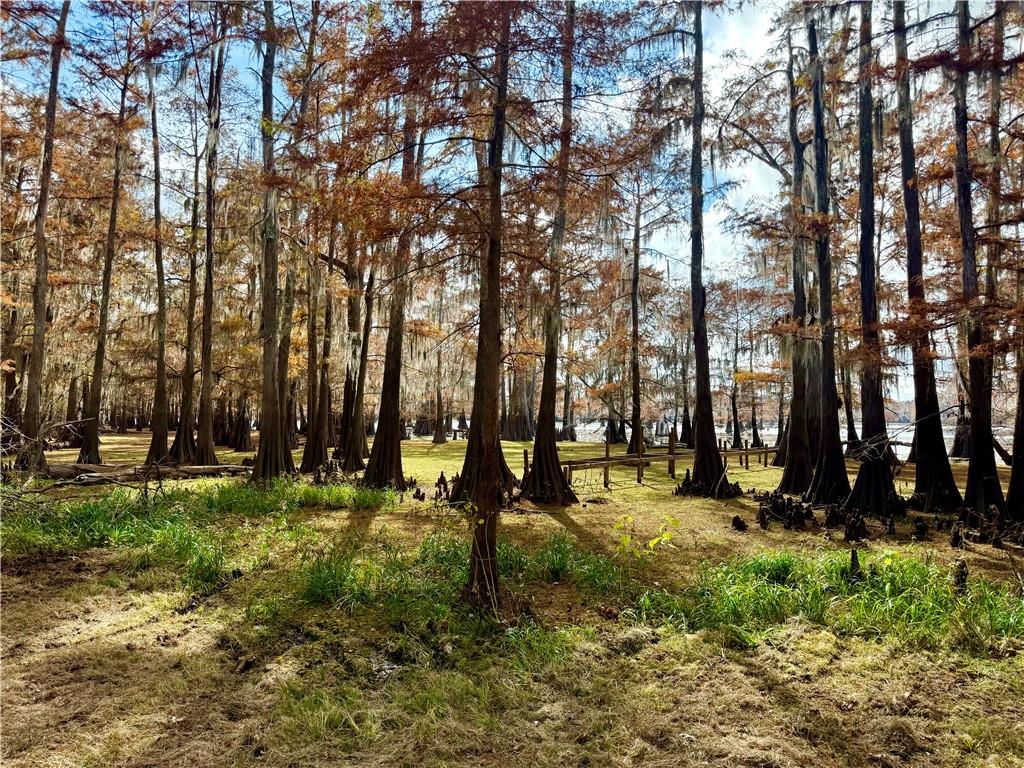 0 Hardwater Lake Road Pollock, LA 71467 - Photo 17 of 22