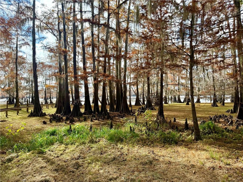 0 Hardwater Lake Road Pollock, LA 71467 - Photo 18 of 22