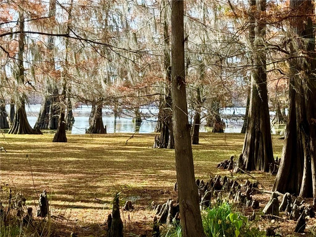 0 Hardwater Lake Road Pollock, LA 71467 - Photo 19 of 22