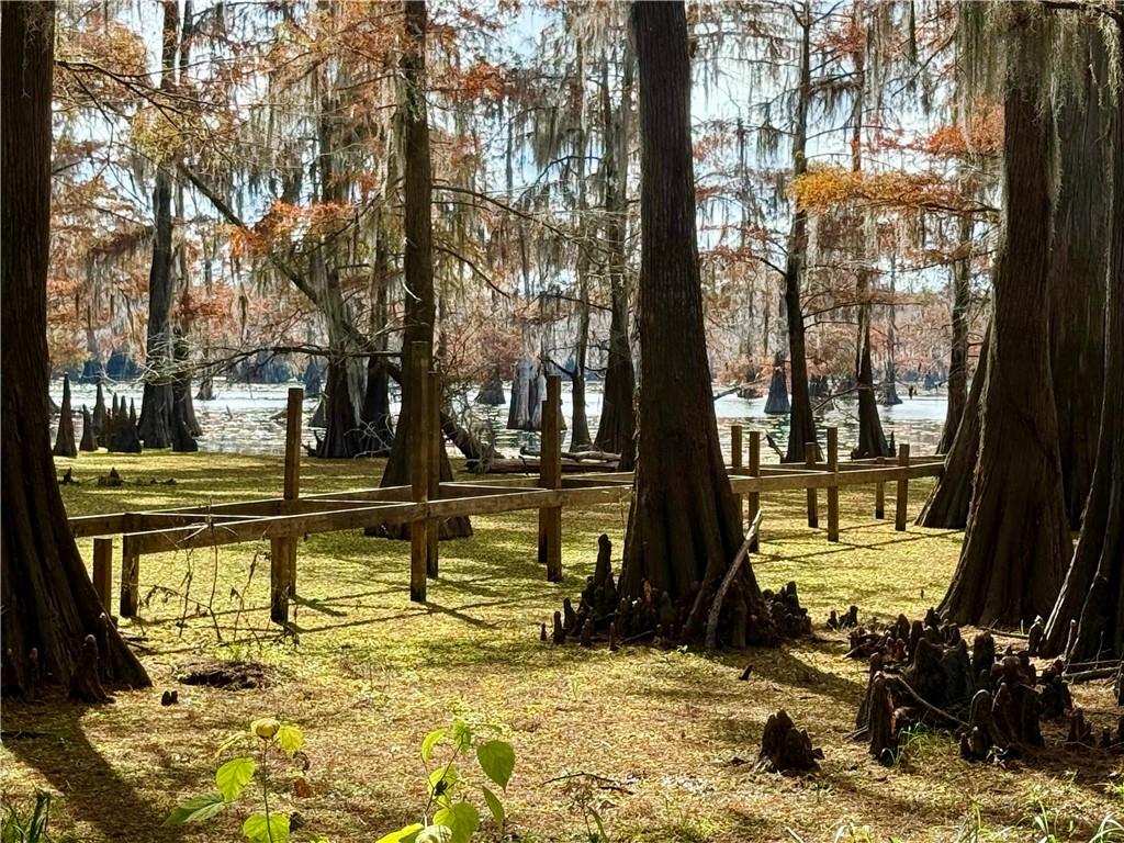 0 Hardwater Lake Road Pollock, LA 71467 - Photo 20 of 22