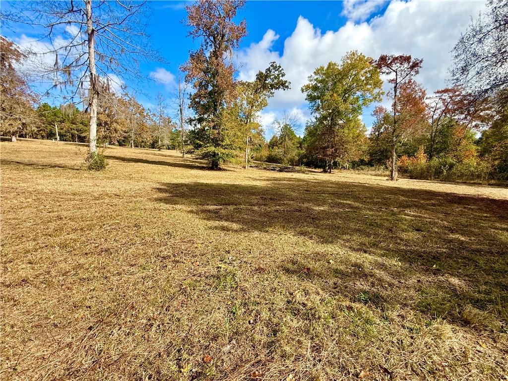 0 Hardwater Lake Road Pollock, LA 71467 - Photo 21 of 22