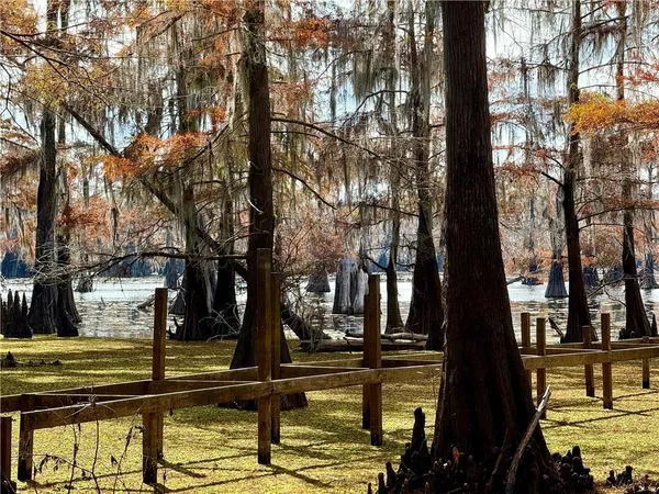 $60,000 | 0 Hardwater Lake Road, Pollock, LA 71467