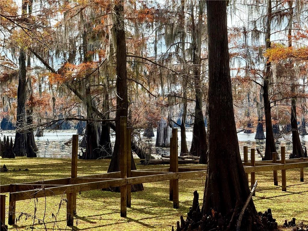 0 Hardwater Lake Road Pollock, LA 71467 - Photo 3 of 22