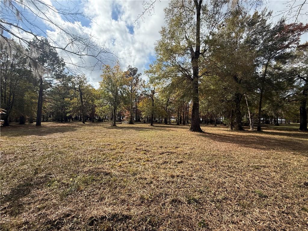 0 Hardwater Lake Road Pollock, LA 71467 - Photo 5 of 22