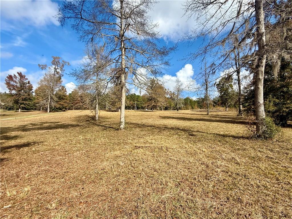 0 Hardwater Lake Road Pollock, LA 71467 - Photo 6 of 22