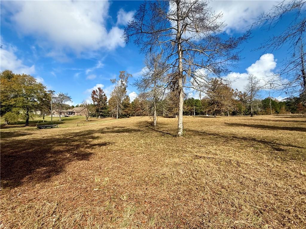 0 Hardwater Lake Road Pollock, LA 71467 - Photo 7 of 22