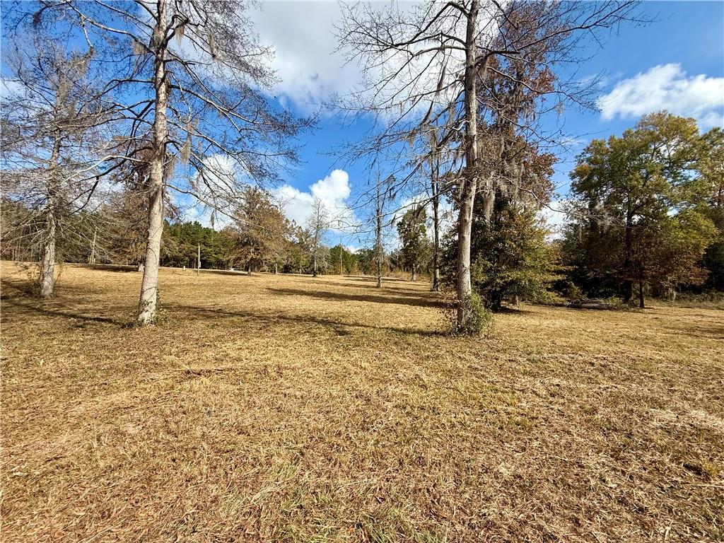 0 Hardwater Lake Road Pollock, LA 71467 - Photo 8 of 22