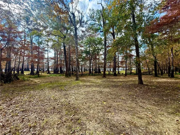 $60,000 | 0 Hardwater Lake Road, Pollock, LA 71467