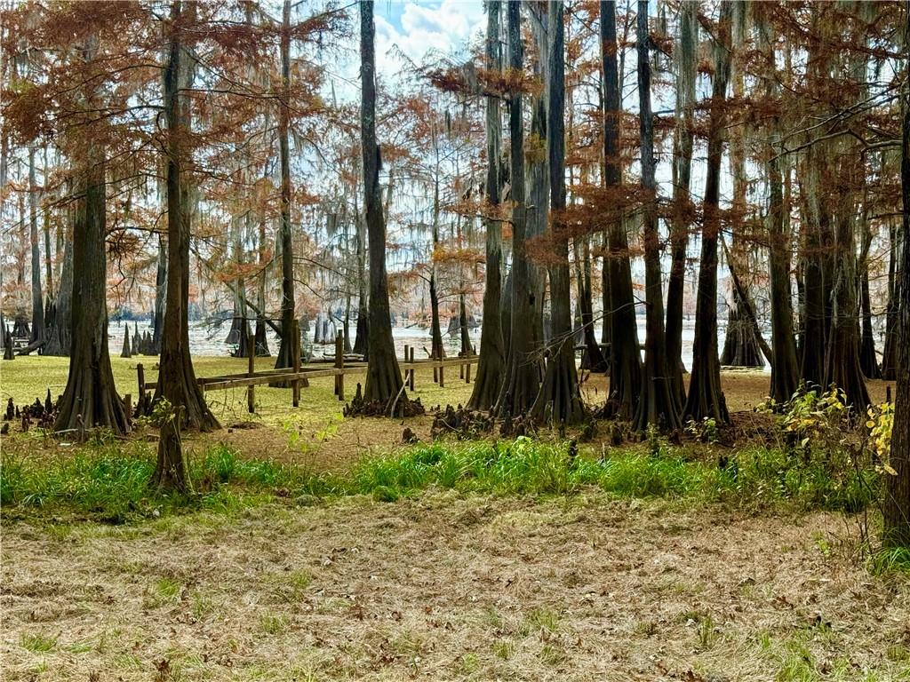 0 Hardwater Lake Road Pollock, LA 71467 - Photo 10 of 22