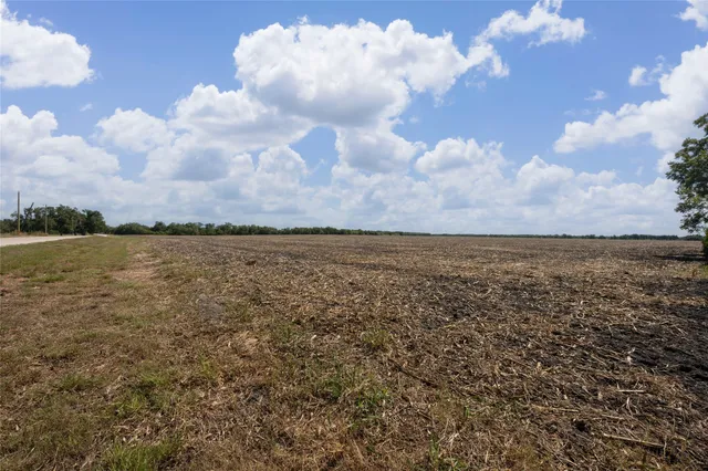 a view of an ocean beach